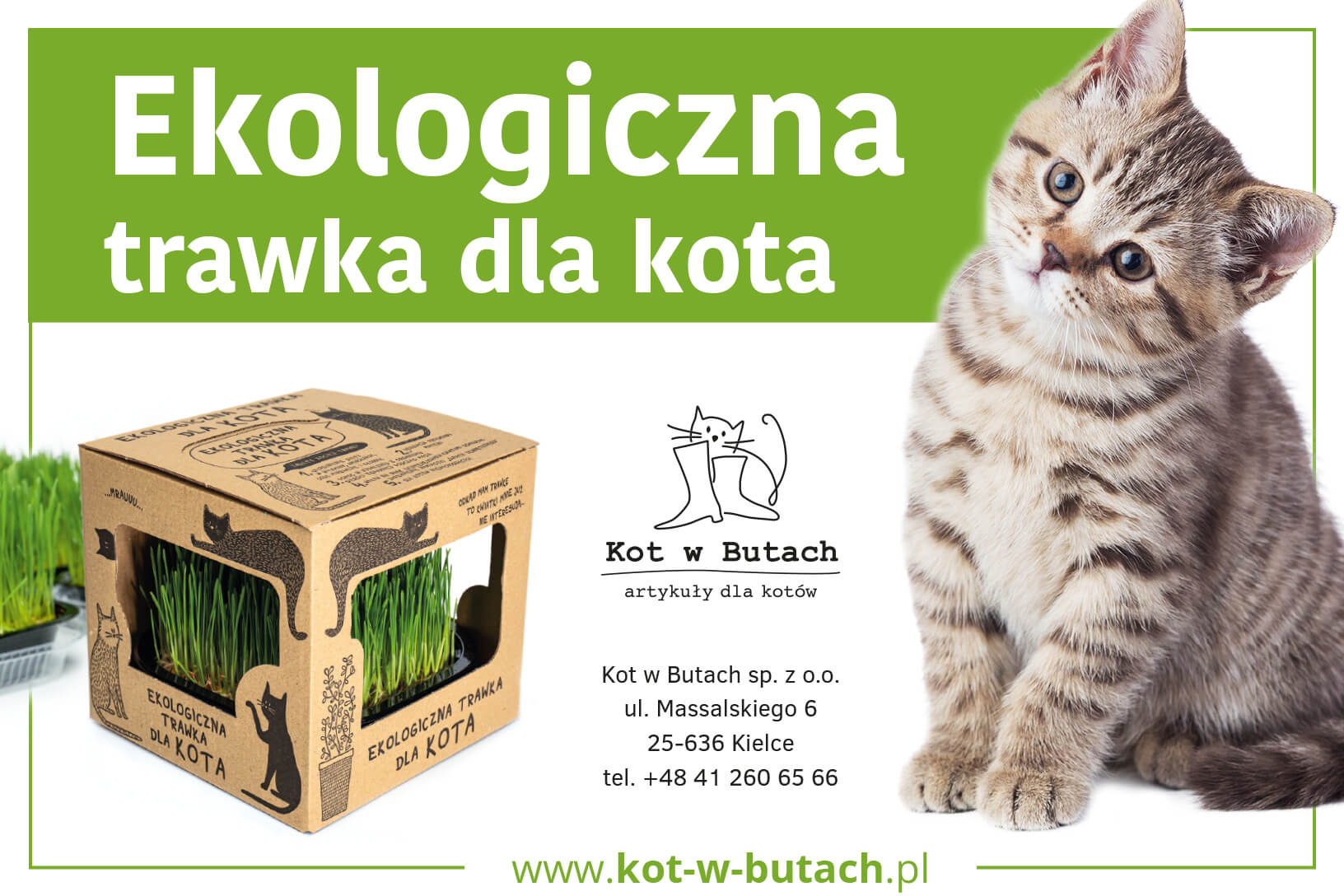 Kot w Butach - ekologiczna trawka dla kota