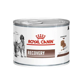 ROYAL CANIN Recovery - mokra karma dla psa i kota - puszka 195g