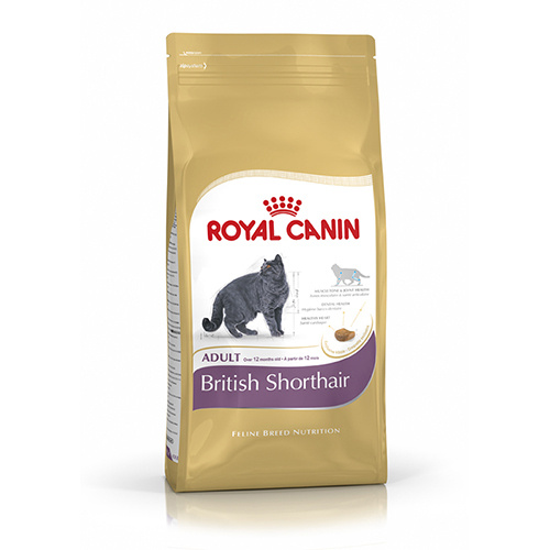 Royal Canin Adult British Shorthair 2 kg - sucha karma dla dorosłych kotów rasy brytyjskiej krótkowłosej 2kg Dostawa GRATIS od 159 zł + super okazje