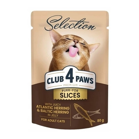 CLUB 4 PAWS Selection Śledź i szprotki w galarecie - mokra karma dla kota - saszetka 80g